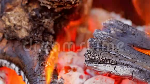 燃烧的火焰金属方形烧烤特写野餐篝火慢动作视频的预览图