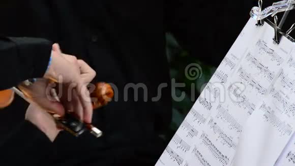 在音乐会上演奏小提琴或中提琴的音乐家演奏副歌或音乐片视频的预览图