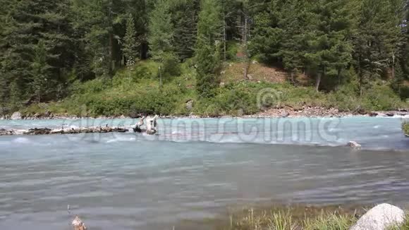 库什拉河流经阿尔泰山鲁西乌登桥过山河库什拉河阿尔泰山俄罗斯视频的预览图