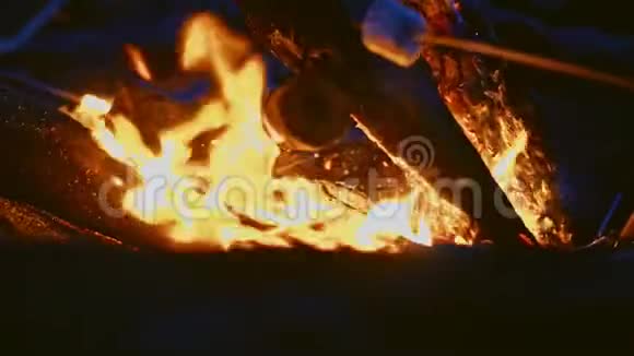 日落海滩派对篝火和与朋友一起烤沼泽视频的预览图