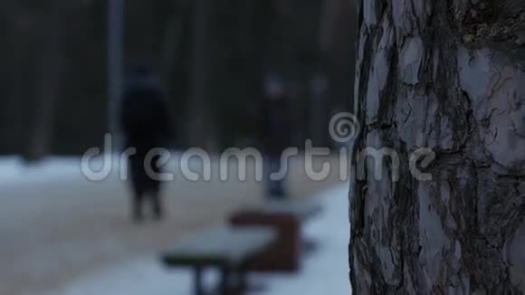 有白雪覆盖的土地的冬季公园人模糊了视频的预览图