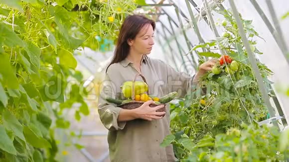 温室里有一篮子绿色植物和蔬菜的年轻女人是收获的时候了视频的预览图