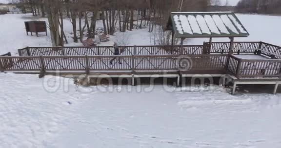 在寒冷的冬天4K的鸟瞰图上年轻女子走下来呆在冰封的湖面上的木坞里视频的预览图