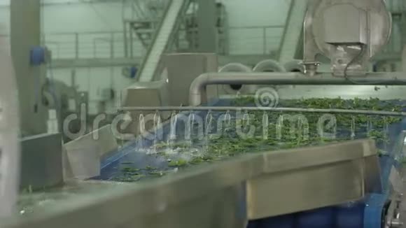 特别控制水流以清洗生菜沙拉视频的预览图