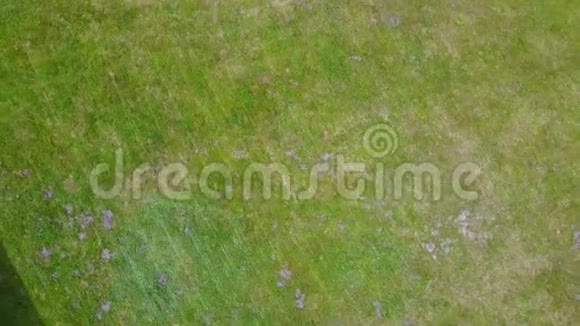 空中俯瞰乡村无人驾驶飞机俯视拉脱维亚农场视频的预览图
