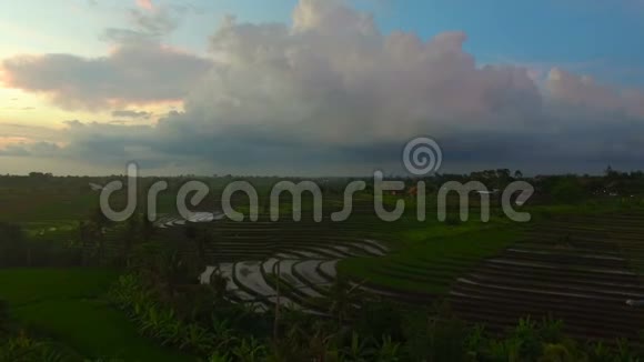 日落时稻田和巴厘岛的空中风景视频视频的预览图