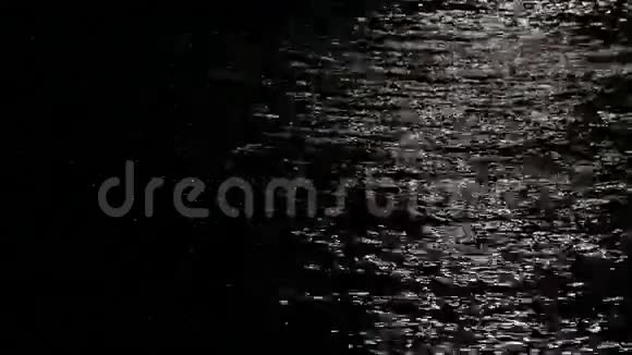 月光反射在海面上视频的预览图