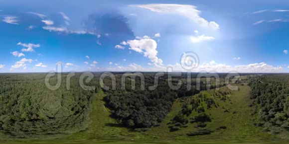 VR360飞越绿色森林视频的预览图