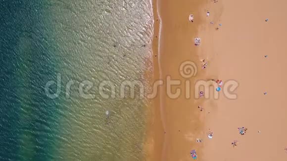 从金沙棕榈树日光浴海滩上面目全非的人的高度观看视频的预览图