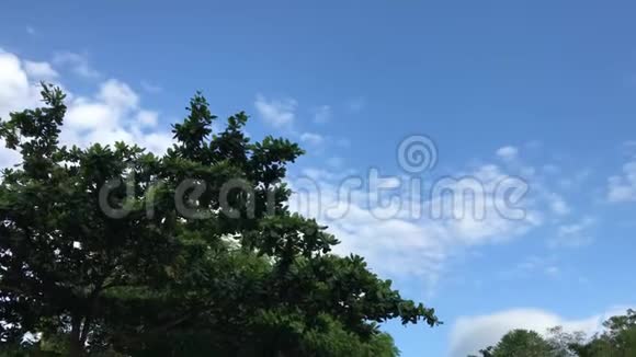 天空背景上的树开滑板车从摩托车上拿的亚洲视频的预览图