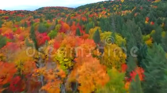 美丽多彩的秋林高岩山顶空中4k景观视频的预览图