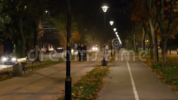 灯公园树之夜视频的预览图