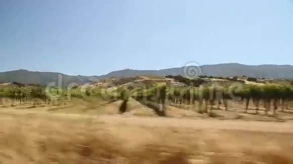 开车穿过加州葡萄酒之乡视频的预览图