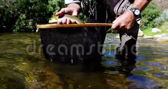 在渔网捕褐鳟鱼视频的预览图