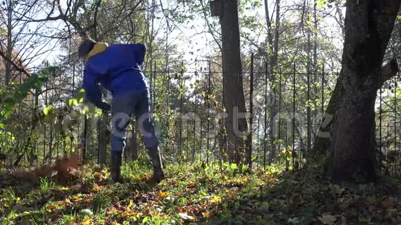 男园丁在他靠近森林的院子里耙着五颜六色的叶子4K视频的预览图