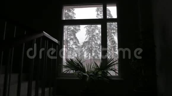 窗外的雪多莉射中视频的预览图