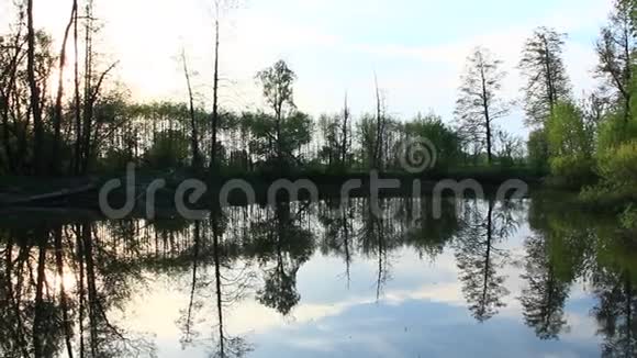 夜晚与河流的景观树木和灌木反映在河水中视频的预览图
