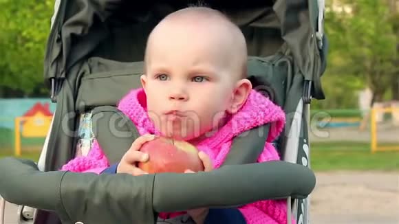 小女孩坐在婴儿车里吃苹果视频的预览图