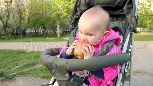 小女孩坐在婴儿车里吃苹果视频的预览图
