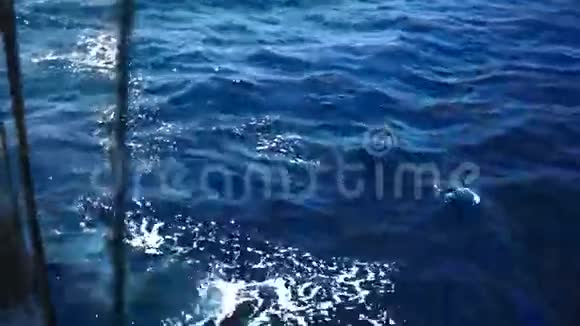 海景与帆船甲板视频的预览图
