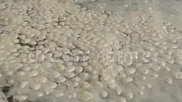 海洋污染水体富营养化水体表面脏乱的有机泡沫波视频的预览图