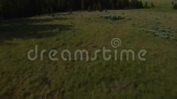 带山的荞麦牧场的空中拍摄视频的预览图