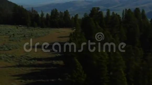 带山的荞麦牧场的空中拍摄视频的预览图
