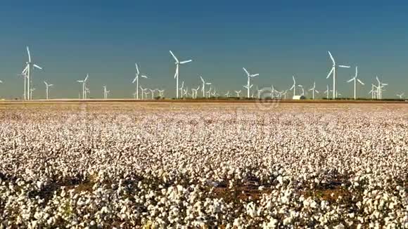 棉花种植绿色能源农场田间风力发电视频的预览图