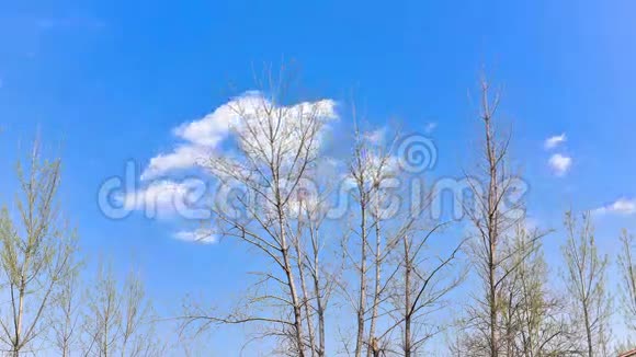 时间流逝白云在蓝天上快速飘浮的视频视频的预览图