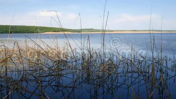 乌克兰的水库一个简单的景观视频的预览图