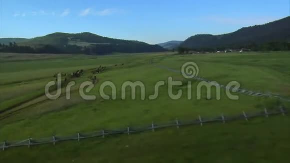 在绿色山谷奔跑的马的空中射击视频的预览图