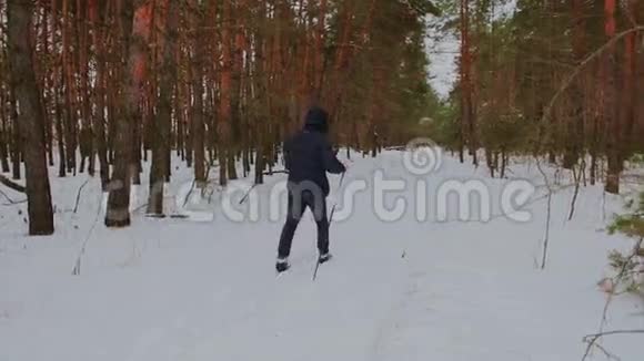 人在树林中越野滑雪视频的预览图