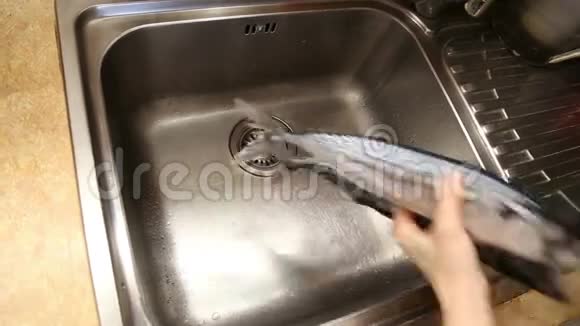 一个女人在水槽里洗鲭鱼视频的预览图