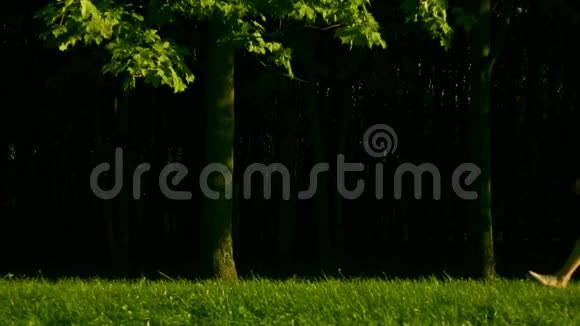 美丽的黑发女孩穿着红色连衣裙从右到左在公园的草地上行走侧面看慢动作视频的预览图