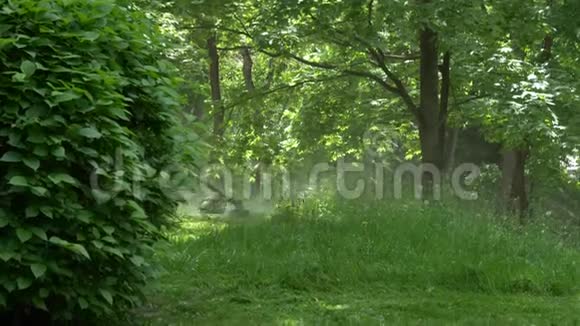 戈梅尔贝拉鲁斯5月15日2019年宫殿和公园合奏帕斯克维奇一个男人割草机视频的预览图