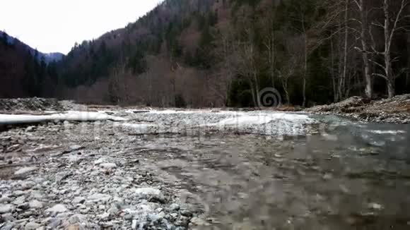 江流林中冬季视频的预览图