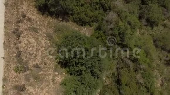 从上面看到的用无人驾驶飞机在山上的弯曲发夹视频的预览图