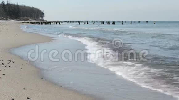 阿伦休普海滩有沙丘和芦苇住在德国视频的预览图