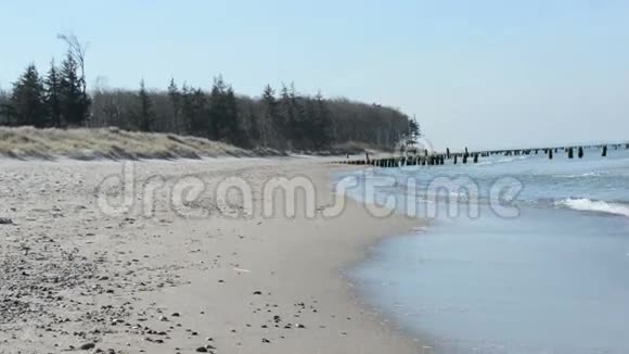 阿伦舒普的海滩有沙丘和芦苇住在德国视频的预览图
