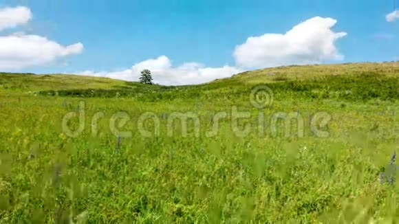 时间推移黄绿色的小山和天空与云野草视频的预览图
