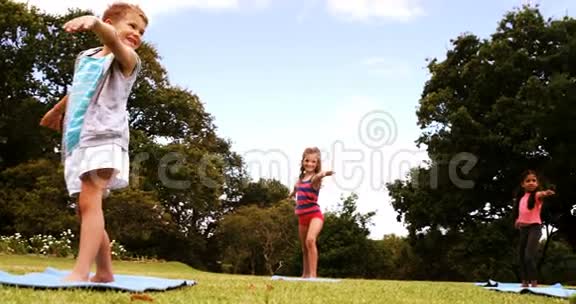 一群孩子在公园里做伸展运动视频的预览图