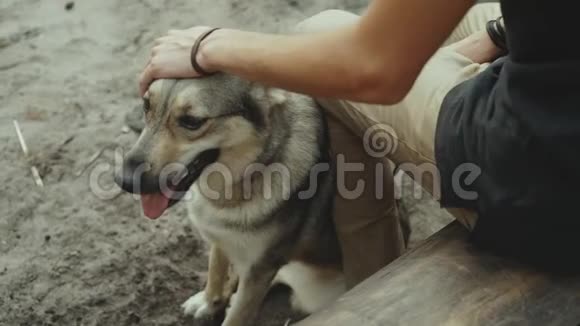 快乐的年轻人在森林里抚摸他可爱的狗慢动作视频的预览图
