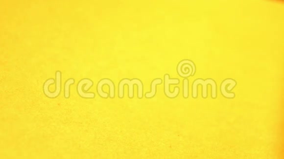 黄色背景上的葵花籽慢动作特写镜头水平平底锅2射击视频的预览图
