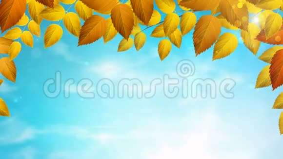 阳光明媚的季节秋天的背景是自然的树枝蓝色的天空上有橙色的叶子有阳光视频的预览图