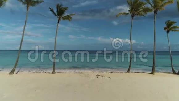 蓬塔卡纳普莱塔热带岛屿海滩和棕榈树的鸟瞰图视频的预览图