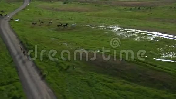 绿色山谷中牛仔和马的空中射击视频的预览图