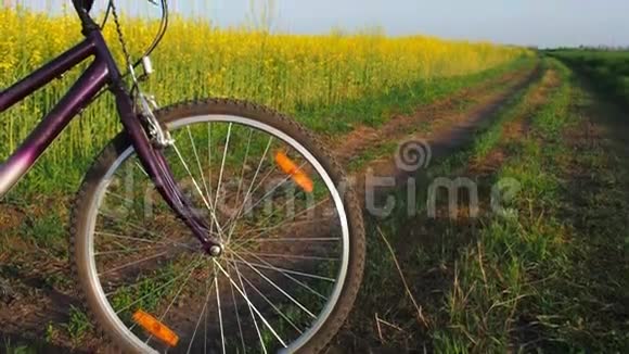 在大自然中骑自行车乡村的山地自行车乡村道路上的自行车视频的预览图