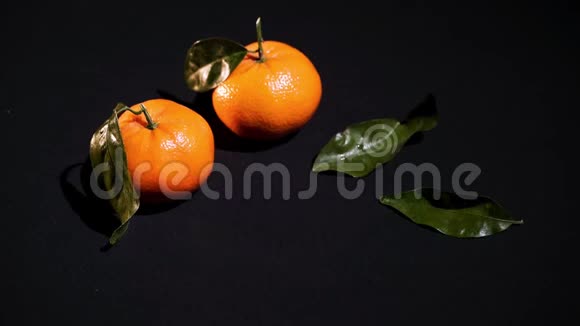 两个带有黑色背景叶子的柑橘视频的预览图