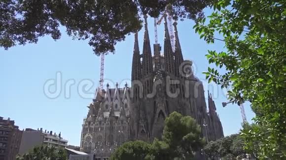 巴塞罗那市的大教堂旧天主教堂视频的预览图