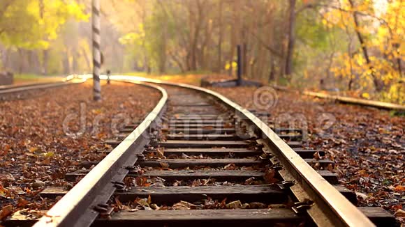 一个人走下火车轨道的背景金色秋天的森林一个男人走近摄像机视频的预览图